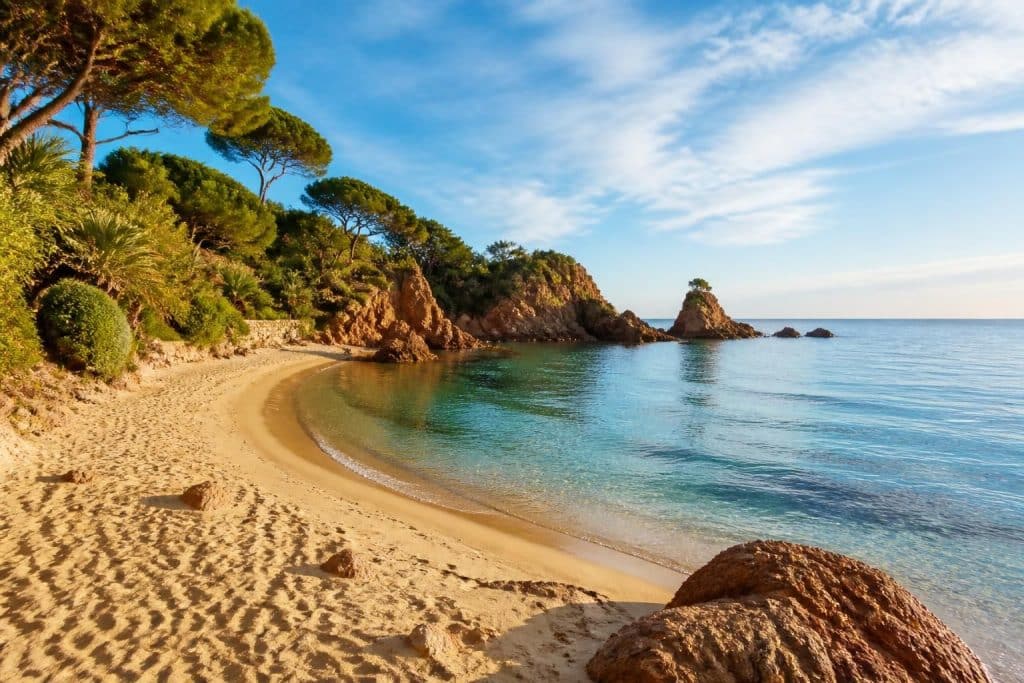 découvrez la plage de l’aiguille à théoule-sur-mer, un lieu idyllique où sable fin et nature préservée offrent un cadre parfait pour la détente et les promenades en bord de mer.