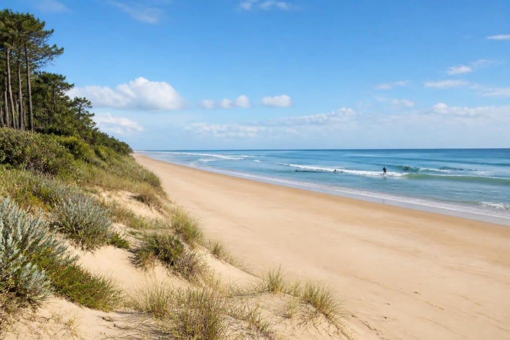 Plage des Huttes à Oléron : sable fin, surf et nature préservée